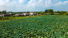 金湖游记图片] 中秋出游好去处，金湖这三个景点必打卡，“团圆宴”也不要错过