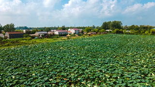 中秋出游好去处,金湖这三个景点必打卡,“团圆宴”也不要错过