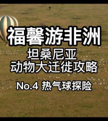 塞伦盖蒂游记图文-坦桑尼亚野生动物大迁徙攻略之热气球探险