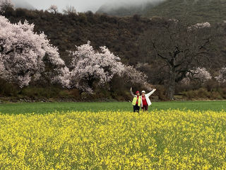 2023年春天带着77岁老妈西藏林芝看桃花逛拉萨青藏铁路14日详细攻略-2