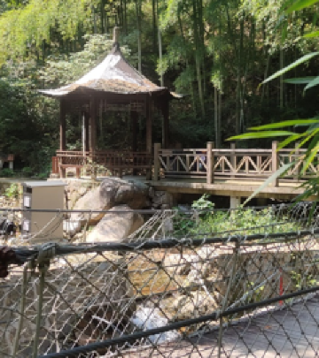 吉安县游记图文-浙江安吉•云上草原•爬山游记