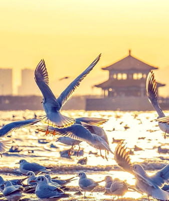 “浪漫的不是青岛,而是来青岛看海的你和我” ɢᴏᴏᴅ