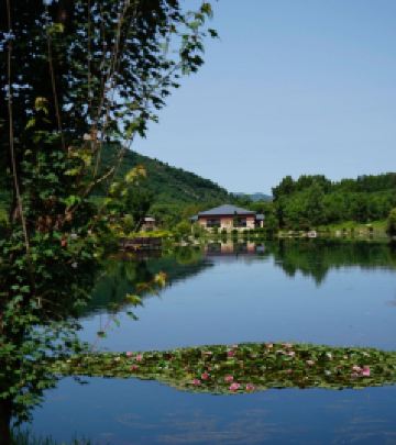 御道口草原森林风景区游记图文-京津冀周边游攻略 | 三天两晚漫游围场坝上草原