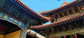 曲阜朝圣|不花钱游三孔攻略（附超出片曲阜小众网红打卡墙）