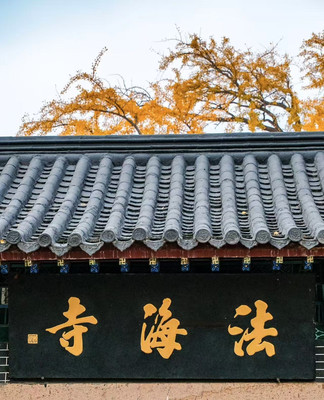 城阳区打卡地—法海寺
