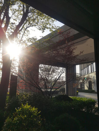 2025夫妻自驾随性游第三十站：莫干山