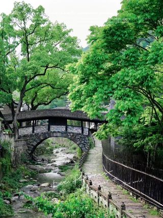 在宁波挖到宝藏避暑地!玩水党狂喜这2个地方直接封神