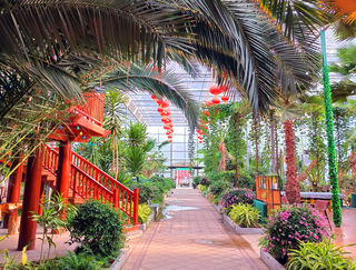 河北旅游：北戴河集发王国光年里度假行散记（图）