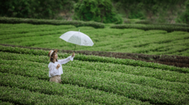 武义游记图片] 初夏 | 行走武义，自在山水间