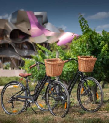 布尔戈斯省游记图文-瑞格尔侯爵酒庄三日游攻略 | 这里有比品酒更让人神往的诗和远方