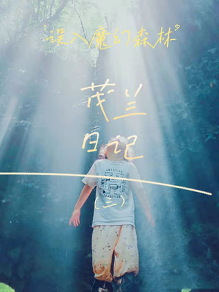 茂兰日记(三)丨穿越魔幻森林,原始奇遇记