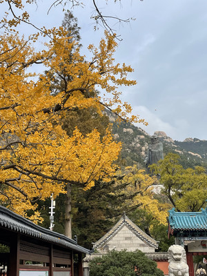 崂山太清宫一日游攻略