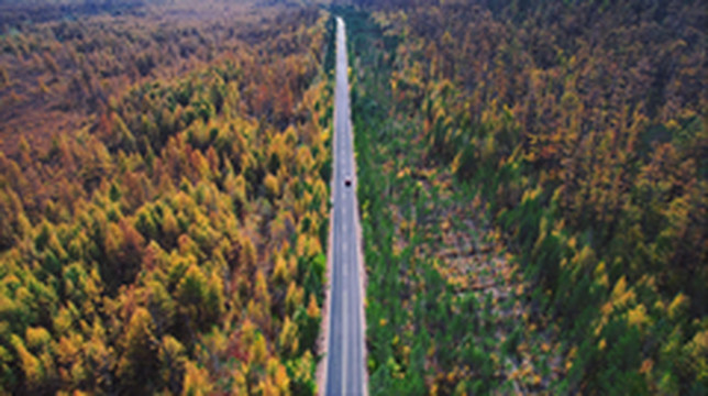 莫道塔尔游记图片] 看过秋天的莫尔道嘎，我开始相信童话了