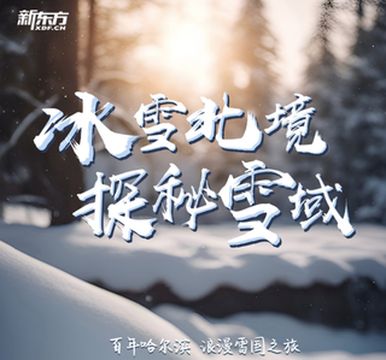 百年哈尔滨•浪漫雪国之旅：冰雪北境，探秘雪域