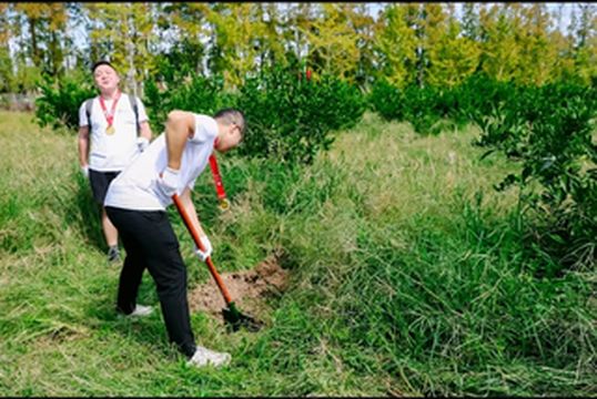 上海春季植树团建好去处：乐活营地超详细植树攻略！