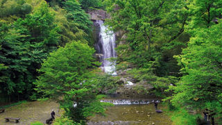 浙江天台:避暑旅游正当时