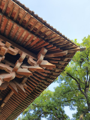 山西平遥双林寺、镇国寺纪游