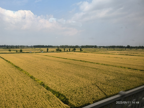 盘锦红海滩（蒙冀辽之十八，202309）