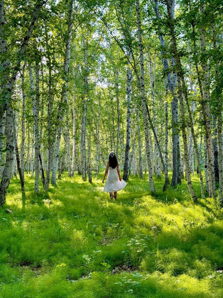 呼伦贝尔 | 闯入宫崎骏的夏天!这片草原天堂,治愈你一整个夏天