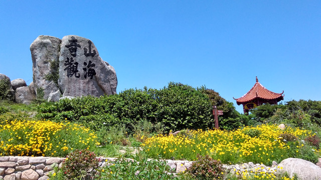 海上情人——枸杞岛
