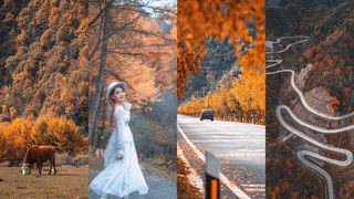 自驾秦岭秘境赏红叶，遇见汉中留坝最好的秋！（附赏红叶宝典）