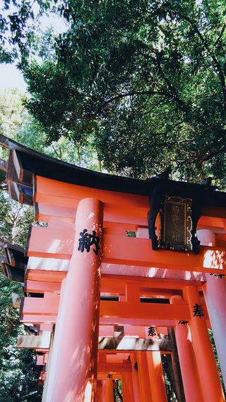 京都伏见稻荷千本鸟居：教你避开人群，拍出氛围感大片​