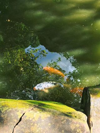 昆明昙华寺｜从丽瑞德酒店出发，闯进老城里的苔藓禅意花园🌲