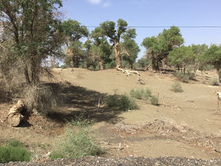 穿越塔克拉玛干沙漠公路、伊昭公路（环走翡翠湖、水上雅丹）