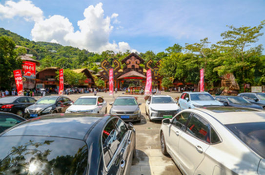 金秋，总要来一趟神秘之旅吧