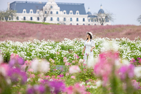 武义游记图片] 趁着周末 解锁浙江宝藏小城武义“多巴胺”美景