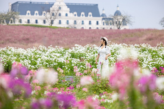 武义游记图文-趁着周末 解锁浙江宝藏小城武义“多巴胺”美景