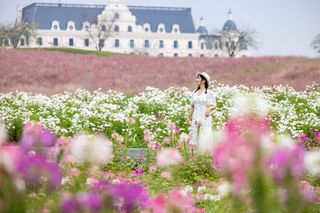 趁着周末 解锁浙江宝藏小城武义“多巴胺”美景