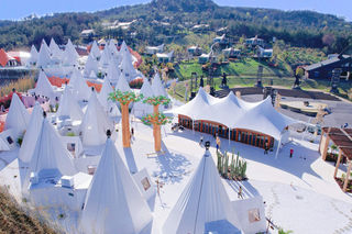 何必远方,武汉人家门口的大草原,诗意漫步与梦幻的木兰草原之旅