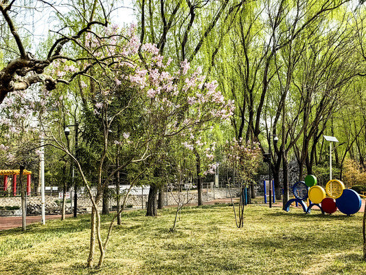 温泉公园是宁静惬意的天地