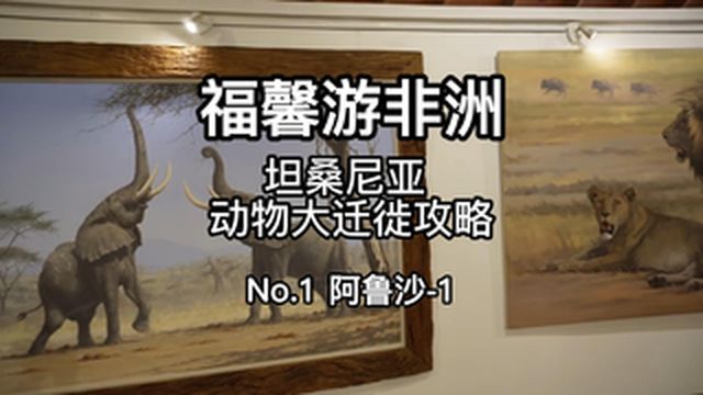 坦桑尼亚野生动物大迁徙攻略第一站阿鲁沙