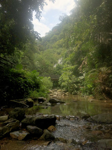 鼎湖山景区/肇庆东站游记图文-肇庆鼎湖山&七星岩之行，散漫自在的旅行