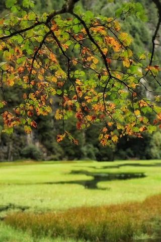 秋光正好！千万不要放过这个九寨沟~