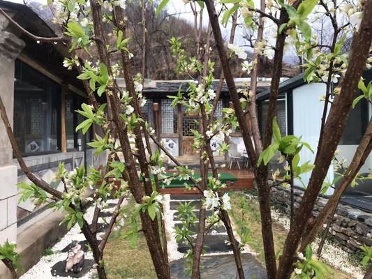 药王谷民宿体验馆营业了