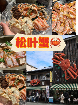 来日本还只知道蟹道乐？来吃一顿甜甜的松叶蟹吧~