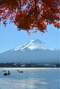 富士山游记图文-富士山下的枫叶季真是美的过分了