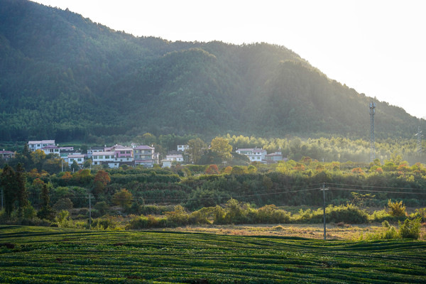 景德镇学院_景德镇旅游攻略_景德镇雕塑瓷厂游玩