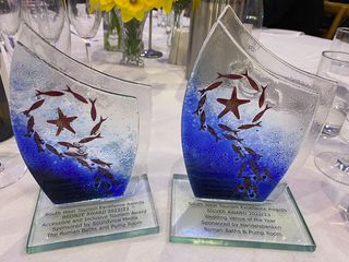 旅游可期！英国巴斯罗马浴场博物馆再获两座奖杯！