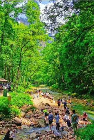 【南门进东门出】金鞭溪+袁家界  ~~交通、路线指引