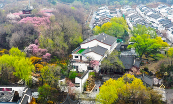 踏青季 | 端午避暑度假胜地