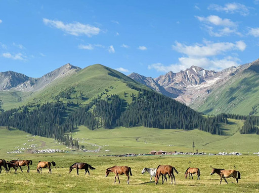 南疆北疆七天六晚自由行- 新疆游记攻略【携程攻略】