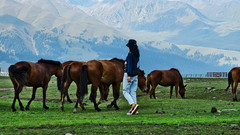 新疆游记图片] 穿越新疆南北  尽览自然与人文风光