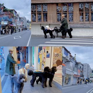 厦门&泉州 2024的第一场旅行开启