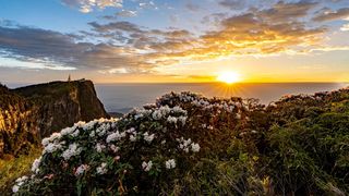 周末去峨眉山金顶徒步云海日出日落看杜鹃花海之旅