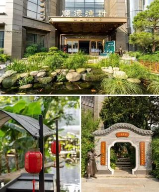 秋天里的顺德,你得来逛一逛