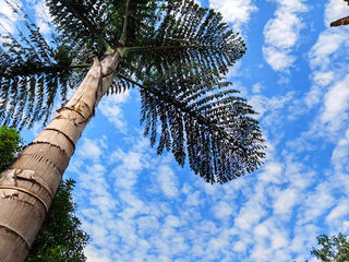 云南旅游:九到昆明走马观花行(图)